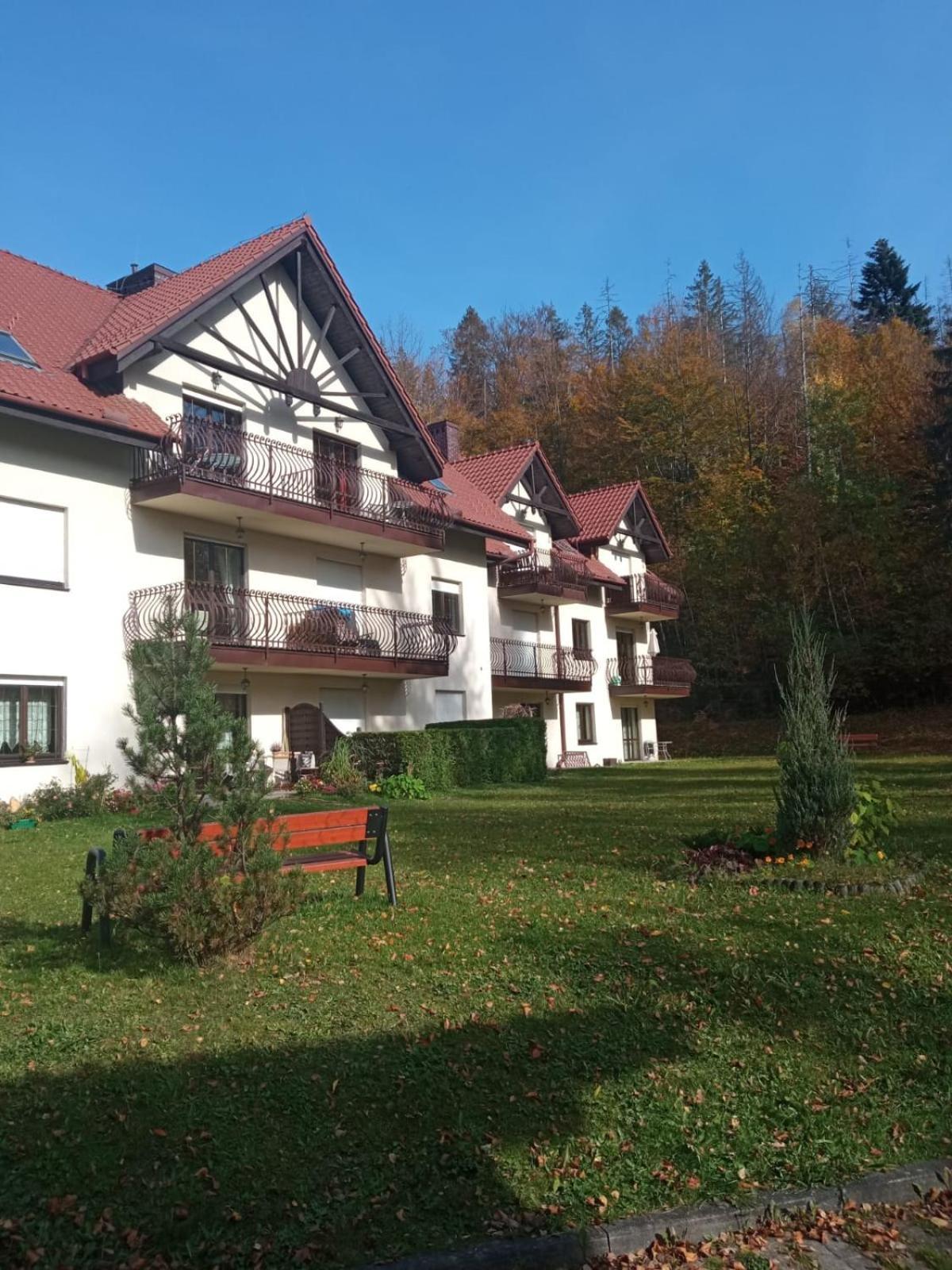 Belweder Apartamenty I Pokoje Висла Екстериор снимка